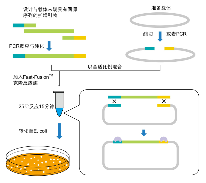 CP-C9NU-01